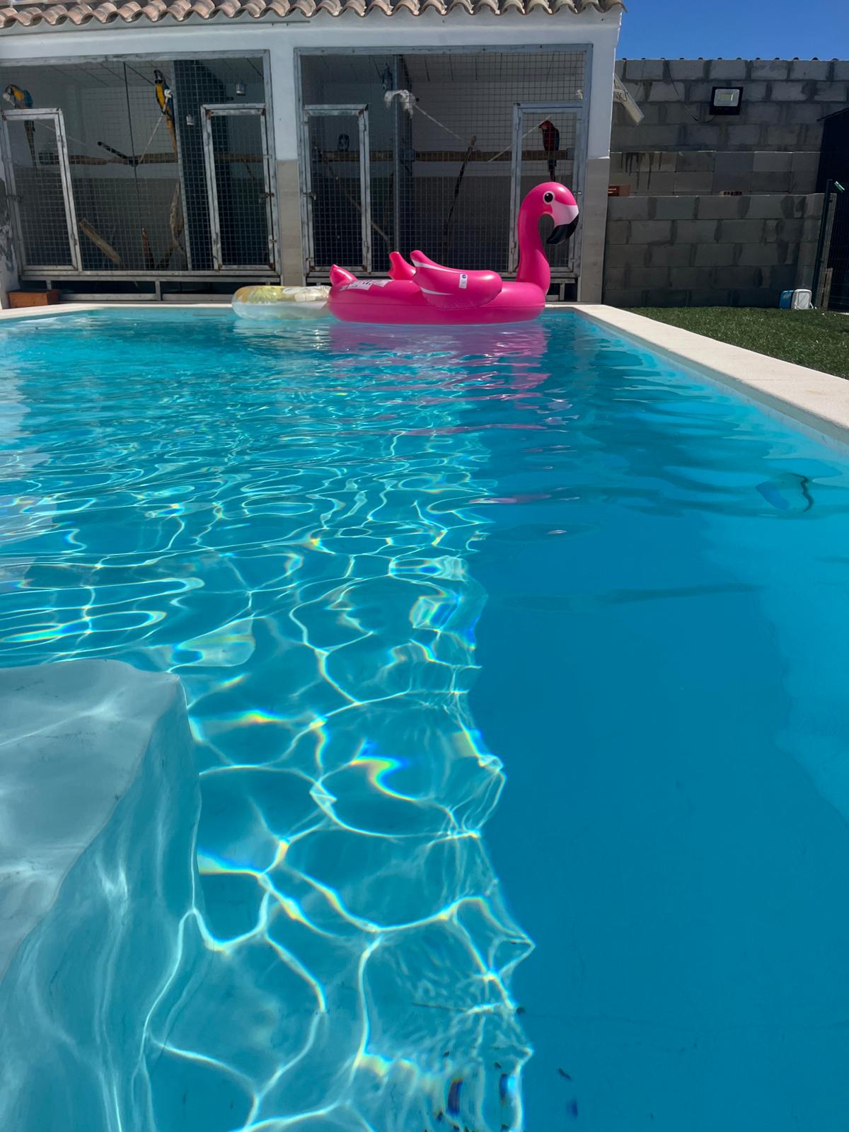 finca rustica  con casa y piscina - Imagen 2